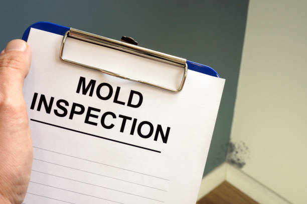 Best Biohazard Mold Removal  in Oak Grove, VA